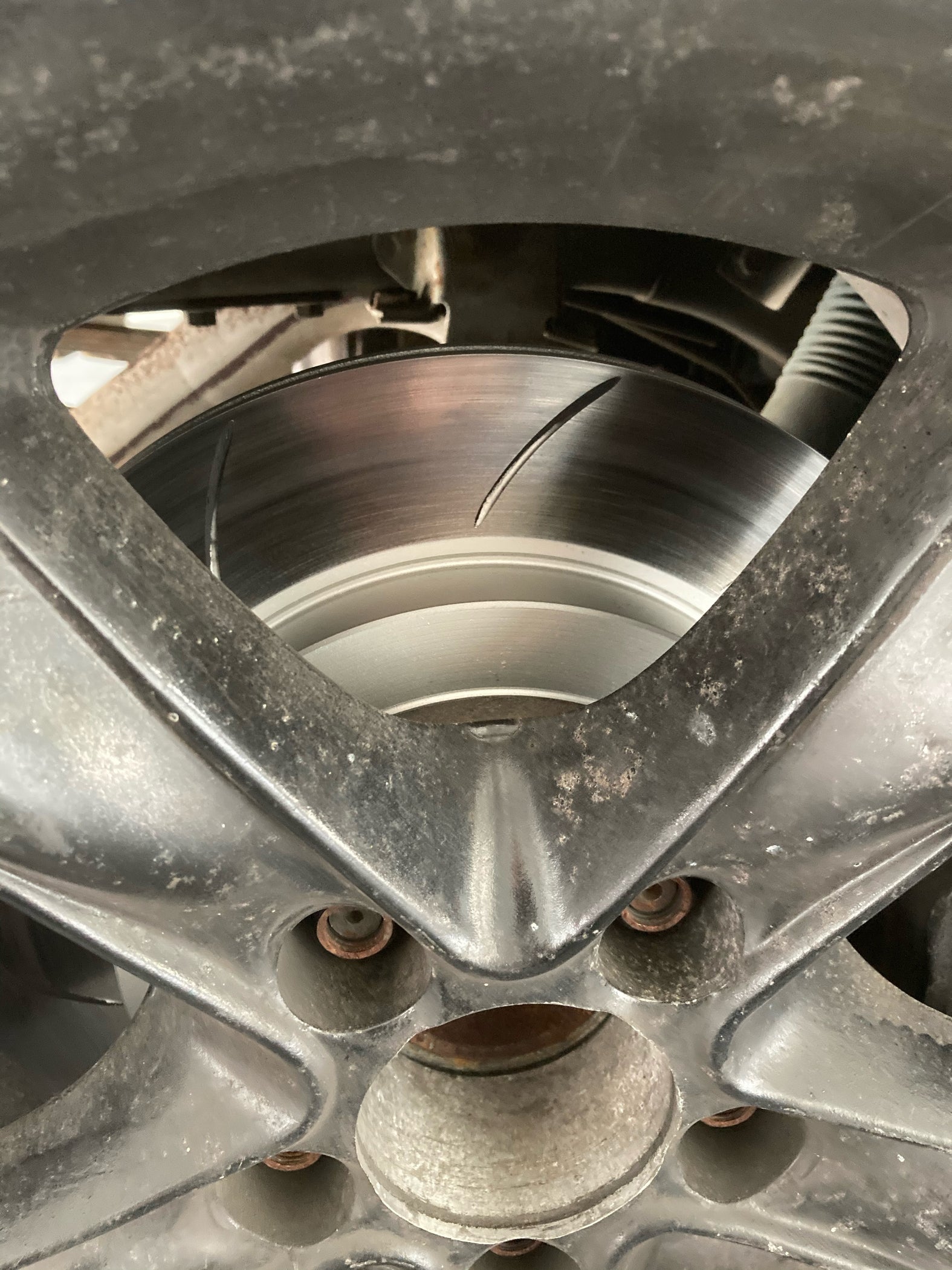 Forza Slotted Brake Rotors suit rear John Bowe Edition Falcon AP Racin ...